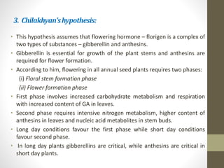 3. Chilakhyan’shypothesis:
• This hypothesis assumes that flowering hormone – florigen is a complex of
two types of substances – gibberellin and anthesins.
• Gibberellin is essential for growth of the plant stems and anthesins are
required for flower formation.
• According to him, flowering in all annual seed plants requires two phases:
(i) Floral stem formation phase
(ii) Flower formation phase
• First phase involves increased carbohydrate metabolism and respiration
with increased content of GA in leaves.
• Second phase requires intensive nitrogen metabolism, higher content of
anthesins in leaves and nucleic acid metabolites in stem buds.
• Long day conditions favour the first phase while short day conditions
favour second phase.
• In long day plants gibberellins are critical, while anthesins are critical in
short day plants.
 