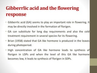 Gibberrlic acid and the flowering
response
• Gibberrlic acid (GA) seems to play an important role in flowering. It
may be directly involved in the formation of florigen.
• GA can substitute for long day requirements and also the cold
treatment requirement in several species for its flowering.
• Brian (1958) stated that GA like hormone is produced in the leaves
during photoperiod.
• High concentration of GA like hormone leads to synthesis of
florigen in LDPs and when the level of this GA like hormone
becomes low, it leads to synthesis of florigen in SDPs.
 
