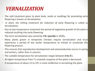 VERNALIZATION
• The cold treatment given to plant buds, seeds or seedlings for promoting early
flowering is known as Vernalization.
• In short, the chilling treatment for induction of early flowering is called as
Vernalization.
• Due to low temperature treatment the period of vegetative growth of the plant is
reduced resulting into early flowering.
• The term vernalization was coined by T.D. Lysenko in 1920s.
• Many plants grown in temperate climates require vernalization and must
experience a period of low winter temperature to initiate or accelerate the
flowering process.
• This ensures that reproductive development and seed production occurs in spring
and winters, rather than in autumn.
• The suitable temperature for vernalization ranges between 0 to 5 ̊c.
• At higher temperature from 7 ̊c onwards response of the plant is decreased.
• A temperature of about 12 to 14 ̊c is most ineffective in vernalizing the plant.
 