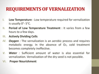 REQUIREMENTS OF VERNALIZATION
I. Low Temperature : Low temperature required for vernalization
is usually 0°- 5°C.
II. Period of Low Temperature Treatment : It varies from a few
hours to a few days.
III. Actively Dividing Cells
IV. Oxygen : The vernalization is an aerobic process and requires
metabolic energy. In the absence of O2, cold treatment
becomes completely ineffective.
V. Water : Sufficient amount of water is also essential for
vernalization. Vernalization of the dry seed is not possible.
VI. Proper Nourishment
 