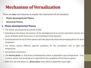Mechanism of Vernalization
There are two main theories to explain the mechanism of vernalisation.
1. Phasic developmental Theory
2. Hormonal Theory
1. Phasic developmental Theory
 This theory was proposed by Lysenko (1934).
 According to this theory, the process of the development of an annual seed plant consists of a
series of phases which must occur in some predetermined sequence.
 Commencement of any of these phases will take place only when the preceding phase has been
completed.
 The phases require different external conditions for the completion such as light and
temperature.
 Vernalization accelerates:
a) the thermo phase i.e. that phase of development which is dependent upon temperature. Thus,
in winter wheat, low temperature is required for the completion of first thermo phase.
b) After this, the next phase i.e., photo phase starts which is dependent upon light.
 