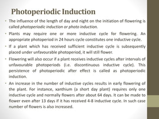 Photoperiodism and vernalization