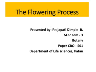 The Flowering Process
Presented by: Prajapati Dimple B.
M.sc sem - 3
Botany
Paper CBO - 501
Department of Life sciences, Patan
 