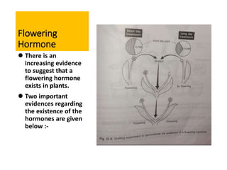 Flowering
Hormone
 There is an
increasing evidence
to suggest that a
flowering hormone
exists in plants.
 Two important
evidences regarding
the existence of the
hormones are given
below :-
 