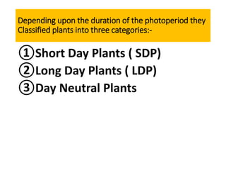 Depending upon the duration of the photoperiod they
Classified plants into three categories:-
①Short Day Plants ( SDP)
②Long Day Plants ( LDP)
③Day Neutral Plants
 