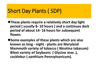 Short Day Plants ( SDP)
These plants require a relatively short day light
period ( usually 8- 10 hours ) and a continuos dark
period of about 14- 16 hours for subsequent
flower.
Some examples of these plants which are also
known as long - night - plants are Maryland
Mammoth variety of tobacco ( Nicotina tabacum)
Biloxi variety of Soybeans ( Glycine max .),
cocklebur ( xanthium Pennsylvanicum).
 