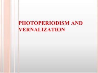 PHOTOPERIODISM AND
VERNALIZATION
 