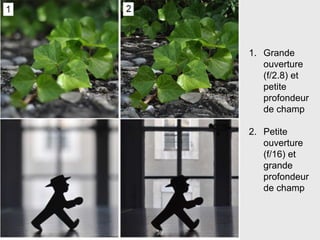 38
1. Grande
ouverture
(f/2.8) et
petite
profondeur
de champ
2. Petite
ouverture
(f/16) et
grande
profondeur
de champ
 