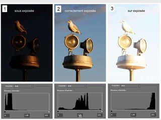 50
sous exposée correctement exposée sur exposée
 