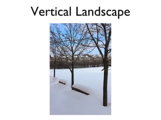 Vertical Landscape

 