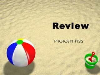 Review   PHOTOSYTHYSIS 