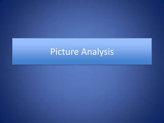 Picture Analysis  