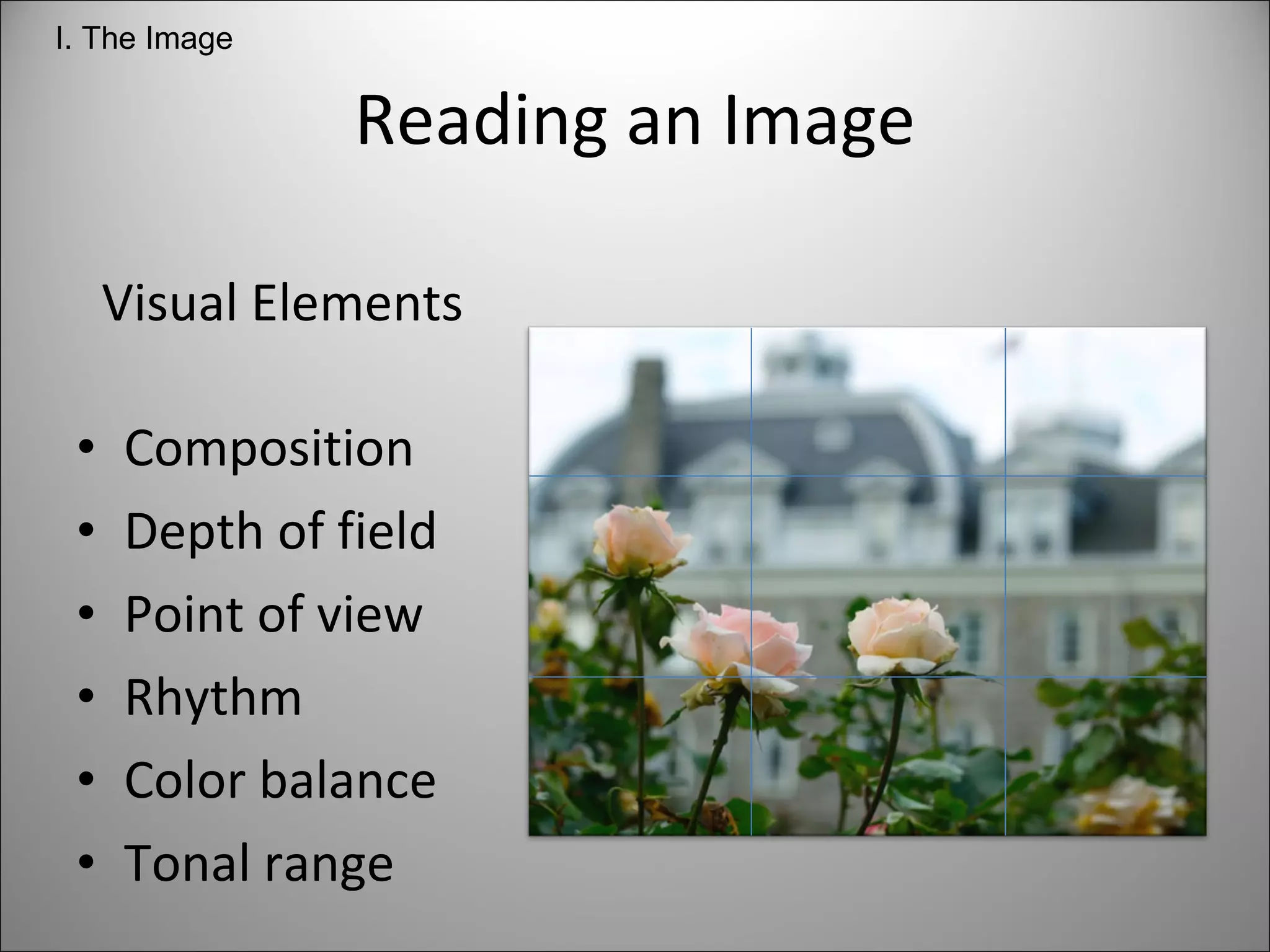 Reading an Image Visual Elements Composition Depth of field  Point of view  Rhythm  Color balance  Tonal range  I. The Image 