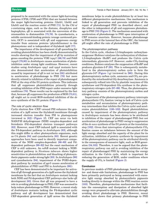 Photoprotection in plants | PDF