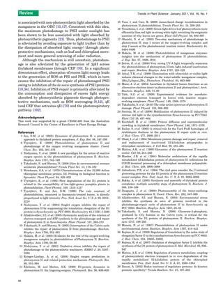 Photoprotection in plants | PDF