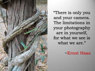 “There is only you
and your camera.
The limitations in
your photography
  are in yourself,
for what we see is
   what we are.”

     ~Ernst Haas
 