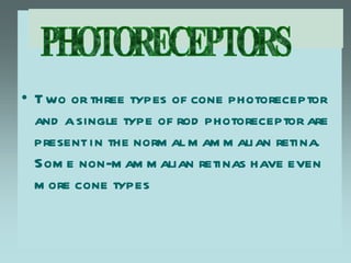 • T wo or three types of cone photoreceptor
  and a single type of rod photoreceptor are
  present in the norm al m am m alian retina.
  Som e non-m am m alian retinas have even
  m ore cone types
 