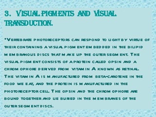 3. VIsua pIgments and VIsuaL
        L
transductIon.
•Vertebrate photoreceptors can respond to li ght by virtue of
their containing a vi sual pigm ent em bed ded in the bilipid
m em branous di scs that m ake up the outer segm ent. The
vi sual pigm ent consists of a protein called opsi n and a
chrom ophore d erived from vitam in A known as retinal.
The vitam in A i s m anufactured from beta-carotene in the
food we eat, and the protein is m anufactured in the
photoreceptor cell. T he opsin and the chrom ophore are
bound together and lie buried in the m em branes of the
outer segm ent discs.
 