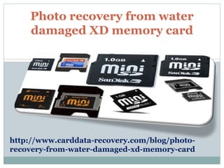 Photo recovery from water
damaged XD memory card
http://www.carddata-recovery.com/blog/photo-
recovery-from-water-damaged-xd-memory-card
 