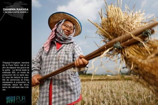 Dhamma Rakhsa "La nature est le remède"
