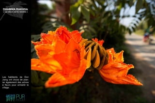 Dhamma Rakhsa "La nature est le remède"