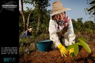 Dhamma Rakhsa "La nature est le remède"