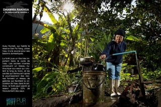 Dhamma Rakhsa "La nature est le remède"
