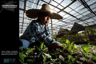 Dhamma Rakhsa "La nature est le remède"