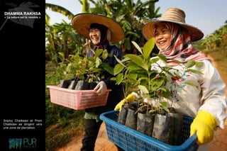 Dhamma Rakhsa "La nature est le remède"