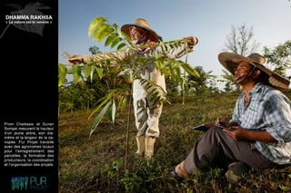 Dhamma Rakhsa "La nature est le remède"