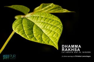 Dhamma Rakhsa "La nature est le remède"