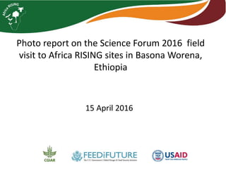 Photo report on the Science Forum 2016 field
visit to Africa RISING sites in Basona Worena,
Ethiopia
15 April 2016
 