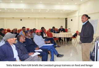 Photo report of the Training of Trainers on Scaling of Africa RISING Project Validated Technologies/Innovations in the Ethiopian Highlands, Debre Birhan, 16-18 May 2017