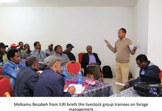 Photo report of the Training of Trainers on Scaling of Africa RISING Project Validated Technologies/Innovations in the Ethiopian Highlands, Debre Birhan, 16-18 May 2017