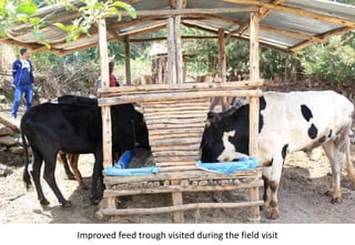 Photo report of the Training of Trainers on Scaling of Africa RISING Project Validated Technologies/Innovations in the Ethiopian Highlands, Debre Birhan, 16-18 May 2017