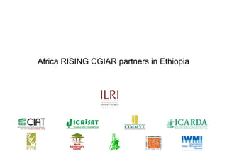 Photo report of the Training of Trainers on Scaling of Africa RISING Project Validated Technologies/Innovations in the Ethiopian Highlands, Debre Birhan, 16-18 May 2017