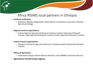Photo report of the Training of Trainers on Scaling of Africa RISING Project Validated Technologies/Innovations in the Ethiopian Highlands, Debre Birhan, 16-18 May 2017