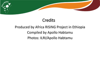 Photo report of the Training of Trainers on Scaling of Africa RISING Project Validated Technologies/Innovations in the Ethiopian Highlands, Debre Birhan, 16-18 May 2017