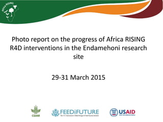 Photo report on Africa RISING R4D interventions
progress in the Endamehoni research site
29-31 March 2015
 