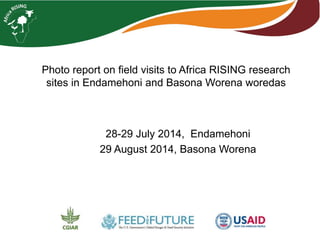 Photo report on field visits to Africa RISING research 
sites in Endamehoni and Basona Worena woredas 
28-29 July 2014, Endamehoni 
29 August 2014, Basona Worena 
 