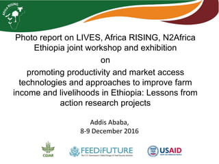 Photo report on LIVES, Africa RISING, N2Africa
Ethiopia joint workshop and exhibition
on
promoting productivity and market access
technologies and approaches to improve farm
income and livelihoods in Ethiopia: Lessons from
action research projects
Addis Ababa,
8-9 December 2016
 