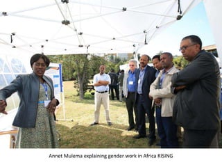 Photo report on LIVES, Africa RISING, N2Africa Ethiopia joint workshop and exhibition on promoting productivity and market access technologies and approaches to improve farm income and livelihoods in Ethiopia: Lessons from action research projects