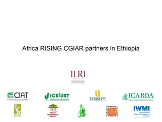 Photo report on LIVES, Africa RISING, N2Africa Ethiopia joint workshop and exhibition on promoting productivity and market access technologies and approaches to improve farm income and livelihoods in Ethiopia: Lessons from action research projects