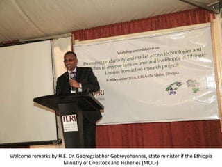 Photo report on LIVES, Africa RISING, N2Africa Ethiopia joint workshop and exhibition on promoting productivity and market access technologies and approaches to improve farm income and livelihoods in Ethiopia: Lessons from action research projects