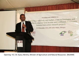 Photo report on LIVES, Africa RISING, N2Africa Ethiopia joint workshop and exhibition on promoting productivity and market access technologies and approaches to improve farm income and livelihoods in Ethiopia: Lessons from action research projects