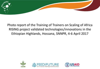 Photo report of the Training of Trainers on Scaling of Africa
RISING project validated technologies/innovations in the
Ethiopian Highlands, Hossana, SNNPR, 4-6 April 2017
 
