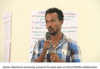 Photo report of the Training of Trainers on Scaling of Africa RISING Project validated technologies/innovations in the Ethiopian Highlands, Hossana, SNNPR, 4-6 April 2017 