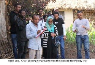 Photo report of the Training of Trainers on Scaling of Africa RISING Project validated technologies/innovations in the Ethiopian Highlands, Hossana, SNNPR, 4-6 April 2017 