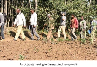 Photo report of the Training of Trainers on Scaling of Africa RISING Project validated technologies/innovations in the Ethiopian Highlands, Hossana, SNNPR, 4-6 April 2017 