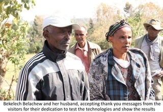 Photo report of the Training of Trainers on Scaling of Africa RISING Project validated technologies/innovations in the Ethiopian Highlands, Hossana, SNNPR, 4-6 April 2017 